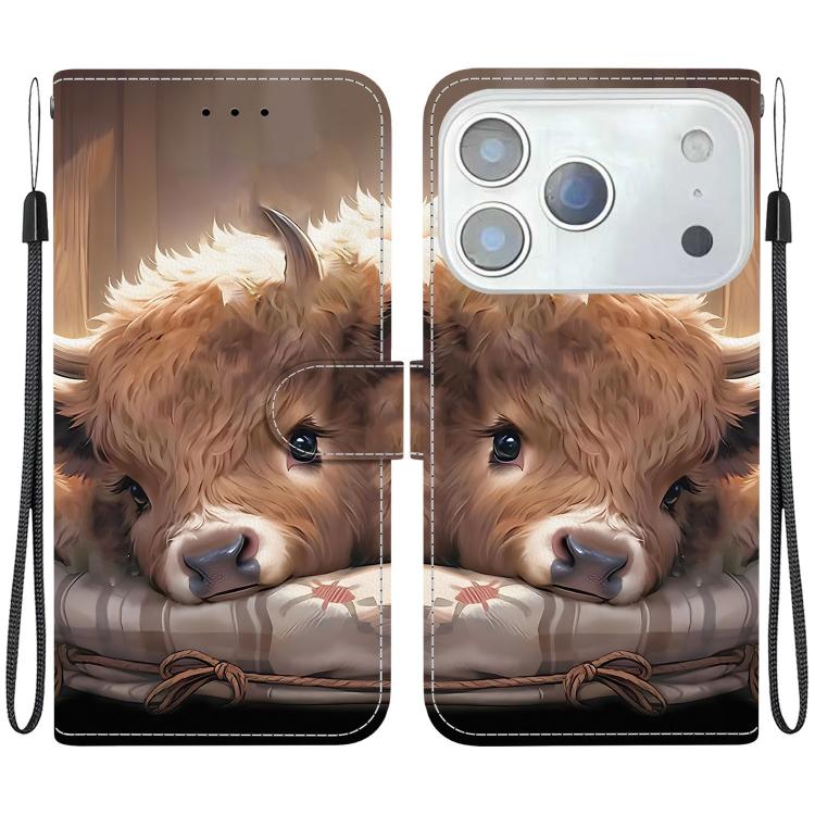 Crystal Texture Colored Drawing Leather Phone Case, For iPhone 17 Pro Max, For iPhone 17 Pro