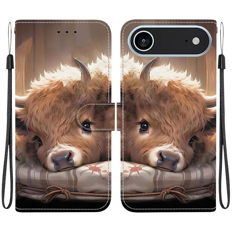 Crystal Texture Colored Drawing Leather Phone Case, For iPhone 17, For iPhone 17 Air