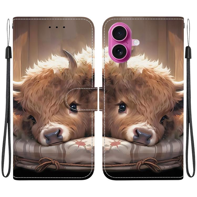 Crystal Texture Colored Drawing Leather Phone Case, For iPhone 17, For iPhone 17 Air