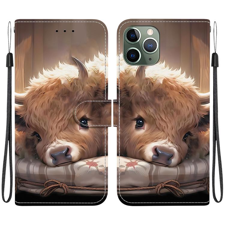 Crystal Texture Colored Drawing Leather Phone Case, For iPhone 11, For iPhone 11 Pro