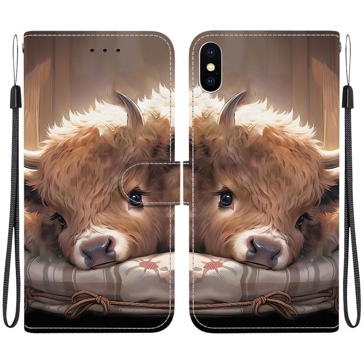 Crystal Texture Colored Drawing Leather Phone Case, For iPhone X / XS, For iPhone XR