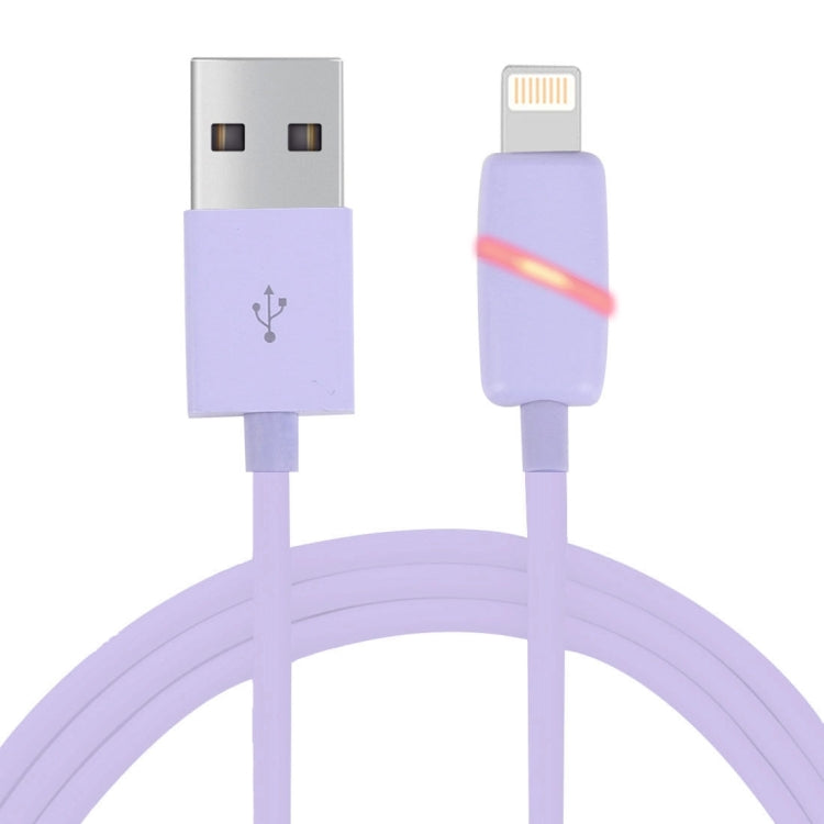 Câble de synchronisation de données USB 8 broches avec indicateur, style boîte cadeau, bobine circulaire de 1 m, pour iPhone et iPad