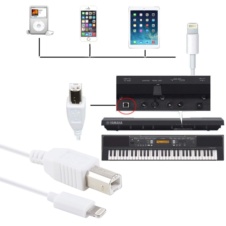 Câble adaptateur MIDI pour piano/piano électronique, 1 m, 8 broches vers type B mâle