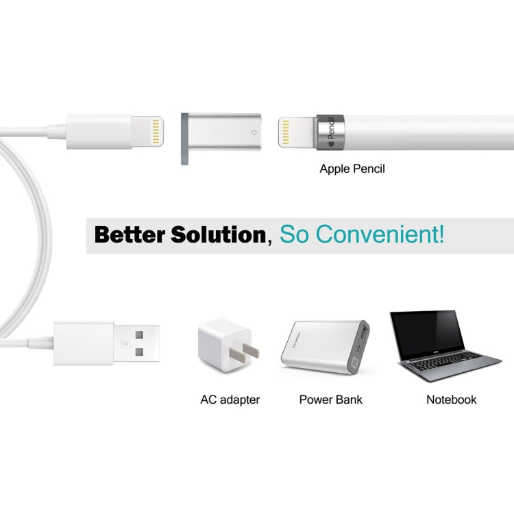 Adaptateur de chargeur Apple Pencil en aluminium pour iPad Pro