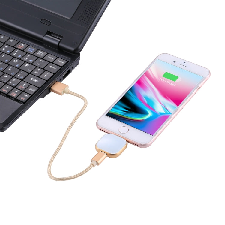 RQW-18S 8 Pin 32GB Multi-functional Flash Disk Drive with USB / Micro USB to Micro USB Cable, RQW-18S Gold