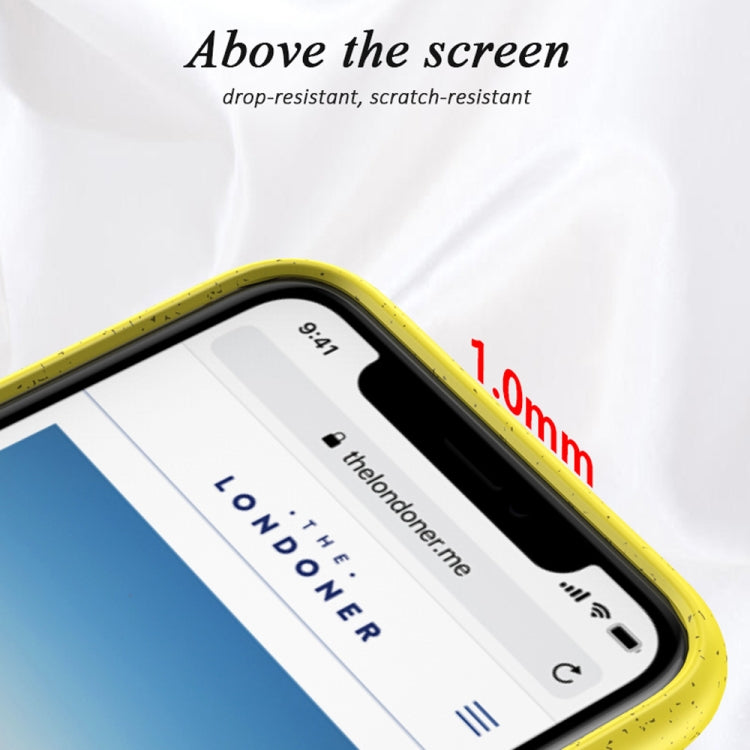 For iPhone X / XS Starry Series Shockproof  Straw Material + TPU Protective Case, For iPhone XS / X, iPhone XS / X