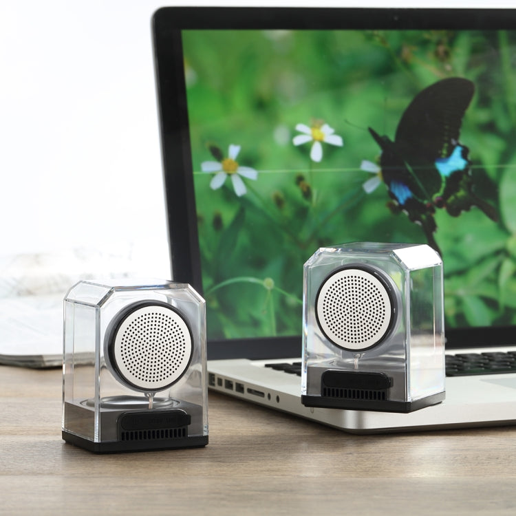 BTS-628 Transparent Bluetooth 4.2 Speaker with TWS Function