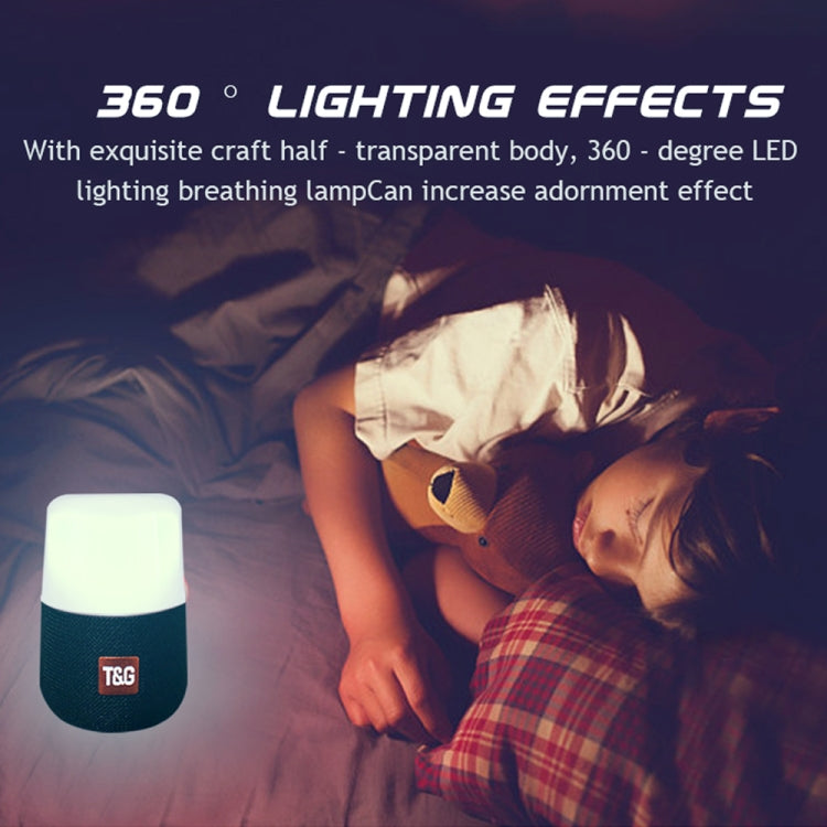 Enceinte stéréo portable sans fil Bluetooth V5.0 T&amp;G TG168 avec poignée, microphone intégré, lumière LED clignotante, carte TF, disque U, entrée auxiliaire et FM, TG168