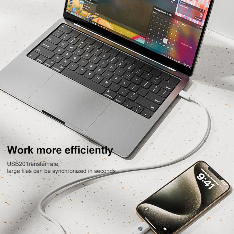 8 Pin Male to USB-C/Type-C Female ABS Charging Adapter, 8 Pin to Type-C