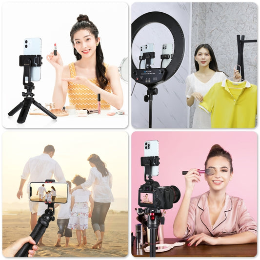 Compact portable phone clamp holder packaging and product contents display