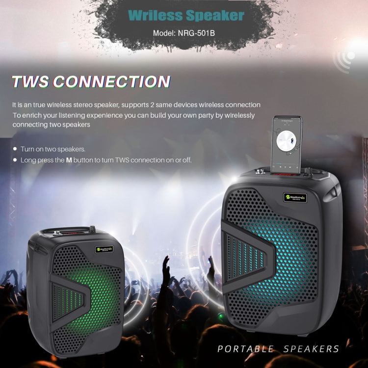 NewRixing NRG501B Outdoor Karaoke Wireless Speaker High-Power Audio Amplifier, With Mic, No Mic