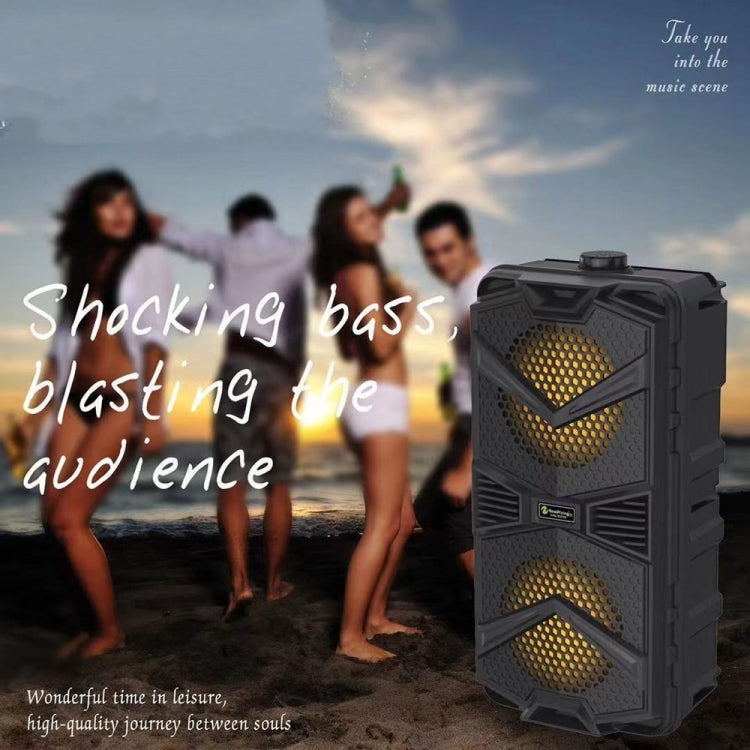 NewRixing NRG5501B Outdoor Portable Karaoke Wireless Speaker 16W Audio Amplifier, with Mic, No Mic