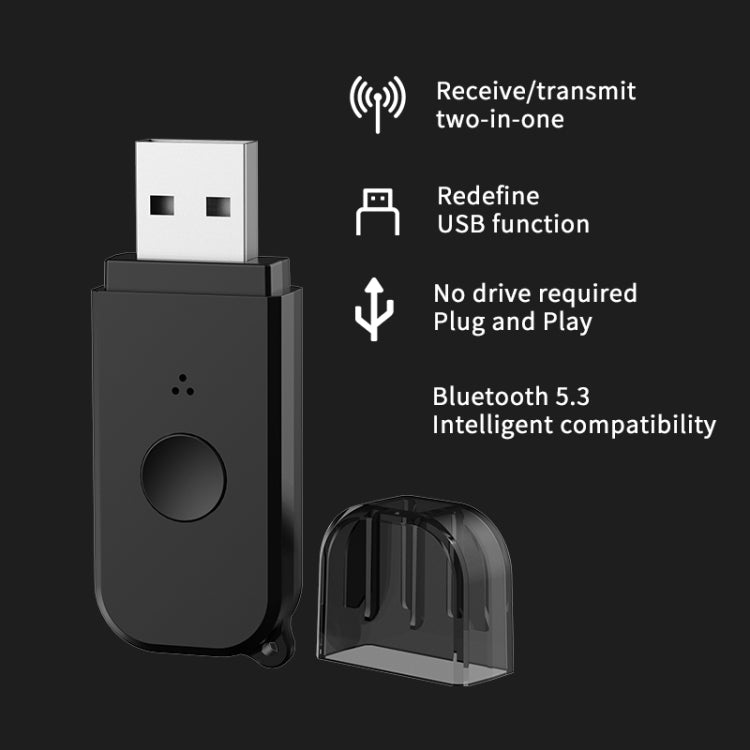 H210 Bluetooth 5.3 Audio Receiver Transmitter 2 in 1 AUX+USB Dual Output, H210