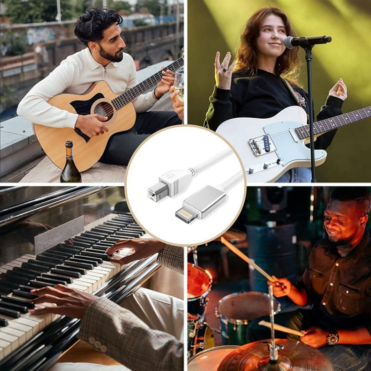 Câble multifonction 8 broches vers USB + MIDI pour instrument de musique électronique, OTG et chargement, compatible avec iOS 10-14, MIDI + OTG, 1 m