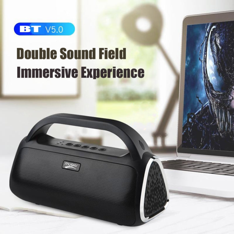 DY18 Wireless Bluetooth Speaker Portable Wireless Speaker Sound System, Support Bluetooth & AUX & TF & Radio