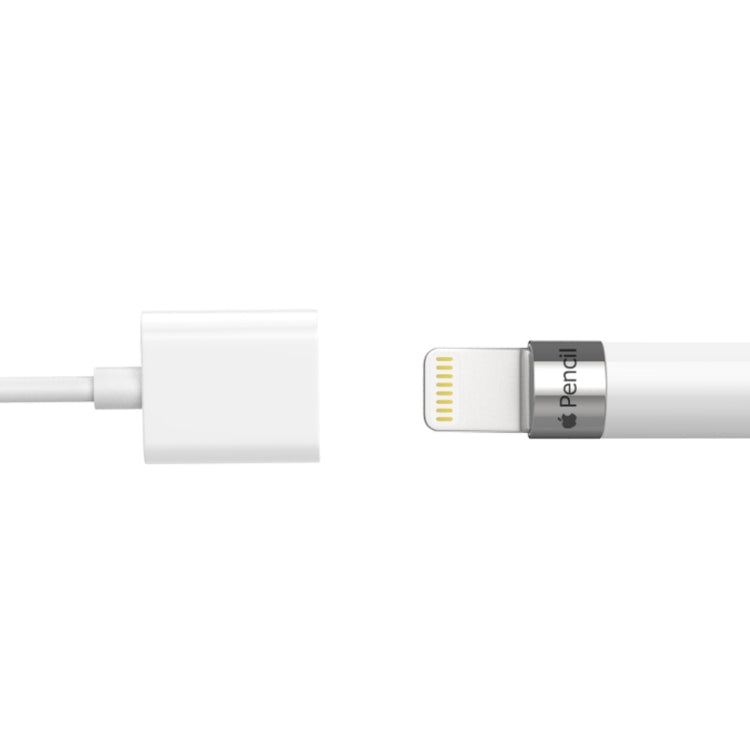 Câble de chargement pour stylet Apple Pencil 1 (1 m)