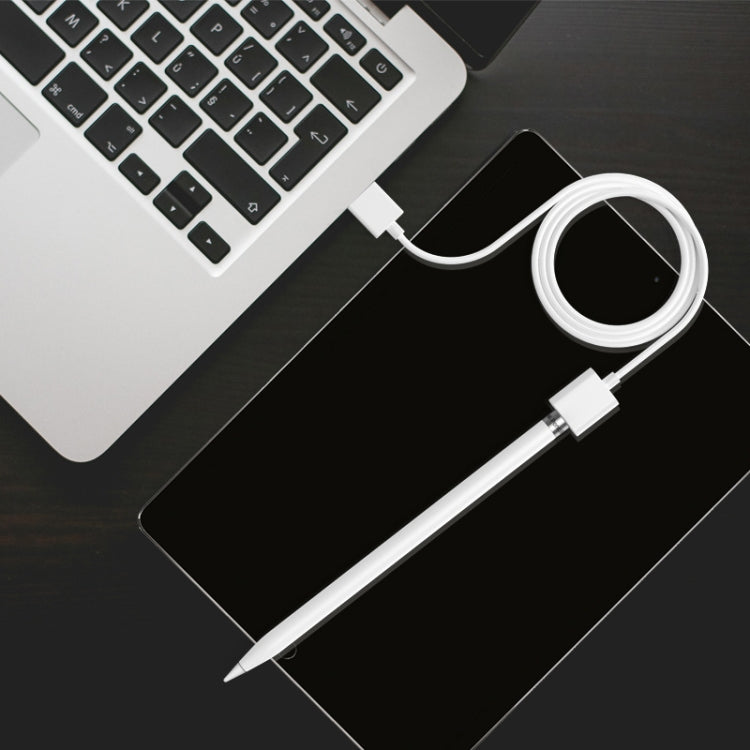Câble de chargement pour stylet Apple Pencil 1 (1 m)