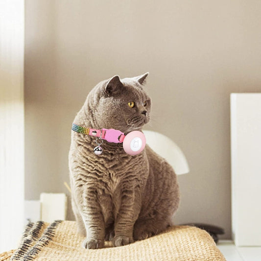 Pet collar with bell and AirTag holder in action on cat, full sparkle detail visible