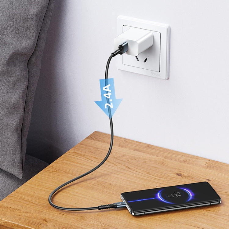 Câble de données souple anti-casse REMAX RC-C008 2,4 A TPE, longueur 1 m, USB vers micro USB, USB vers 8 broches, USB vers USB-C/Type-C