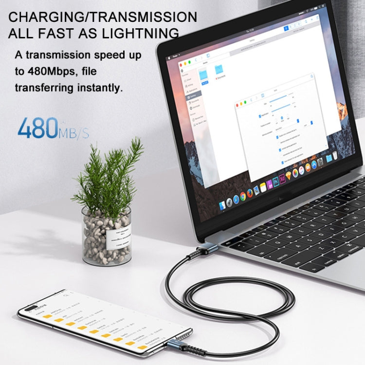 Câble de données souple anti-casse REMAX RC-C008 2,4 A TPE, longueur 1 m, USB vers micro USB, USB vers 8 broches, USB vers USB-C/Type-C