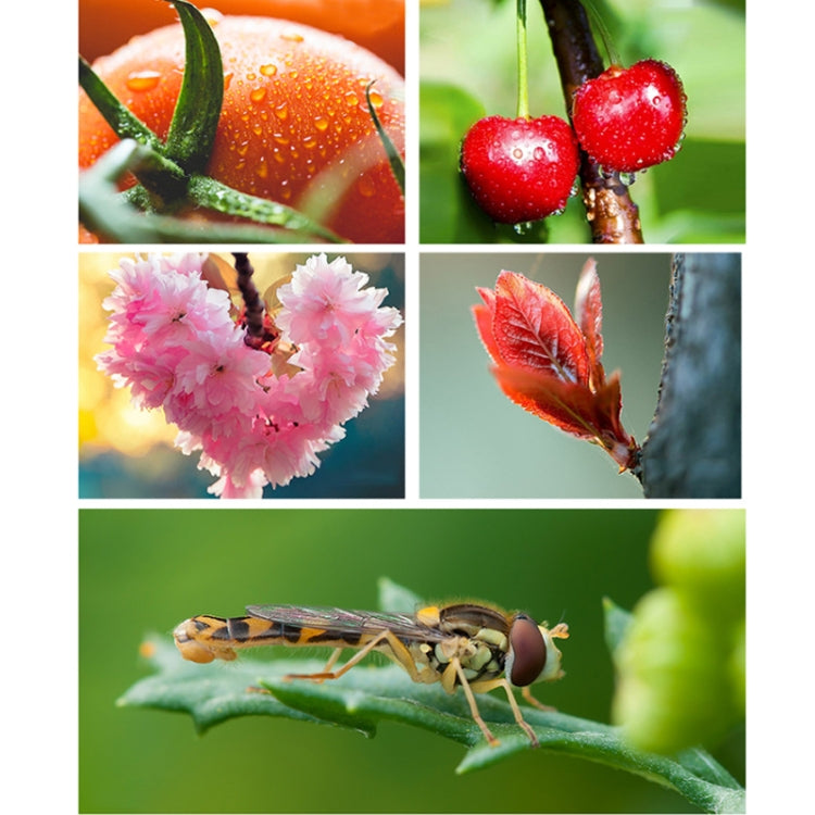 APEXEL CM-HB100CPL HB100mm HD External Macro Mobile Phone Lens with CPL, CM-HB100CPL