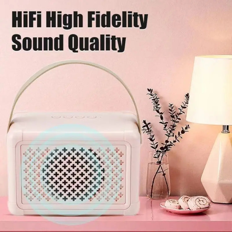Portable Bluetooth Speaker Home Mini Karaoke Audio, Microphone+Speaker, Dual-Microphone+Speaker