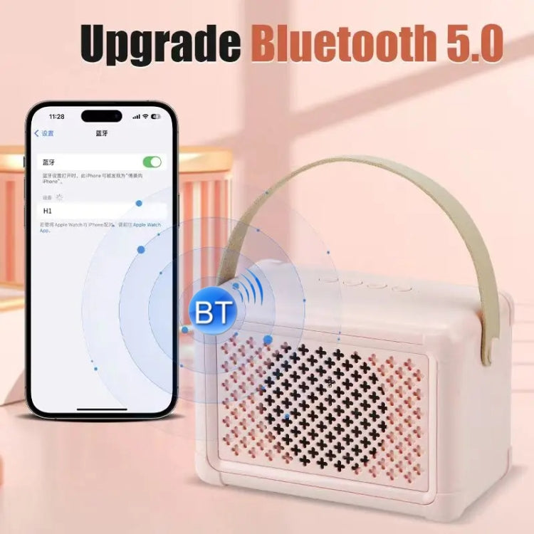 Portable Bluetooth Speaker Home Mini Karaoke Audio, Microphone+Speaker, Dual-Microphone+Speaker