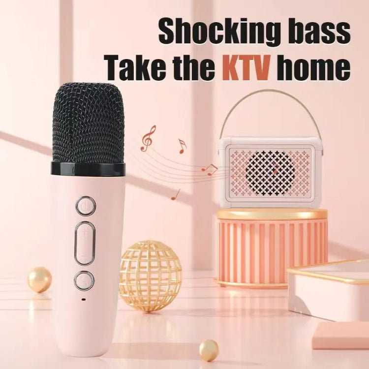 Portable Bluetooth Speaker Home Mini Karaoke Audio, Microphone+Speaker, Dual-Microphone+Speaker