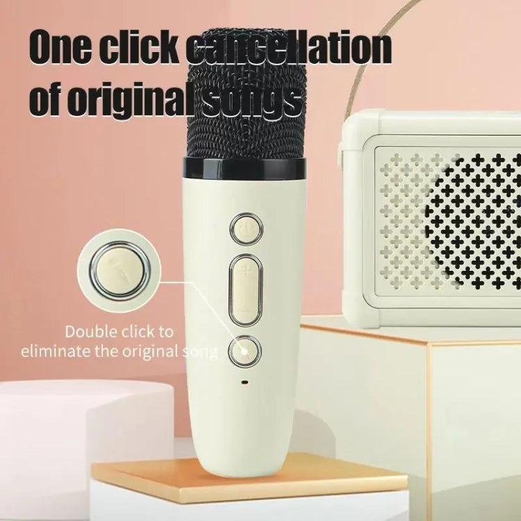Portable Bluetooth Speaker Home Mini Karaoke Audio, Microphone+Speaker, Dual-Microphone+Speaker