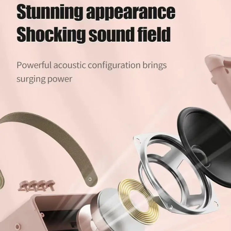 Portable Bluetooth Speaker Home Mini Karaoke Audio, Microphone+Speaker, Dual-Microphone+Speaker