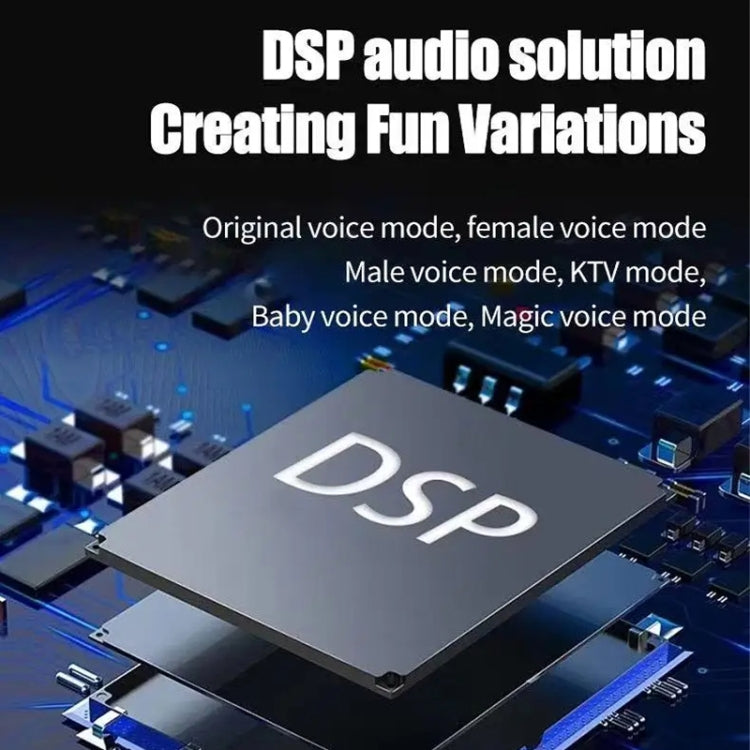 Portable Bluetooth Speaker Home Mini Karaoke Audio, Microphone+Speaker, Dual-Microphone+Speaker