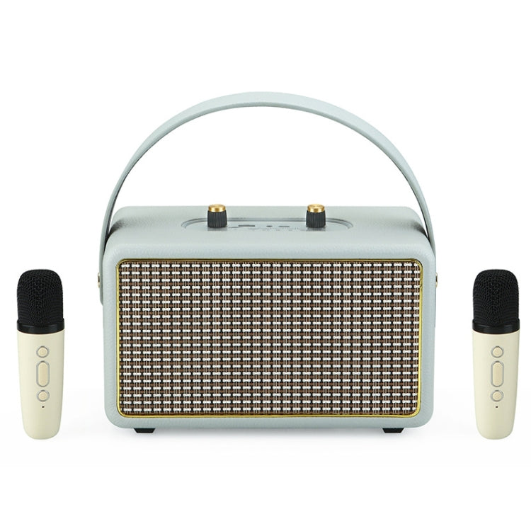 Leather Texture Portable Wooden Home Karaoke Bluetooth Speaker, Gray+Dual-microphone, Gray