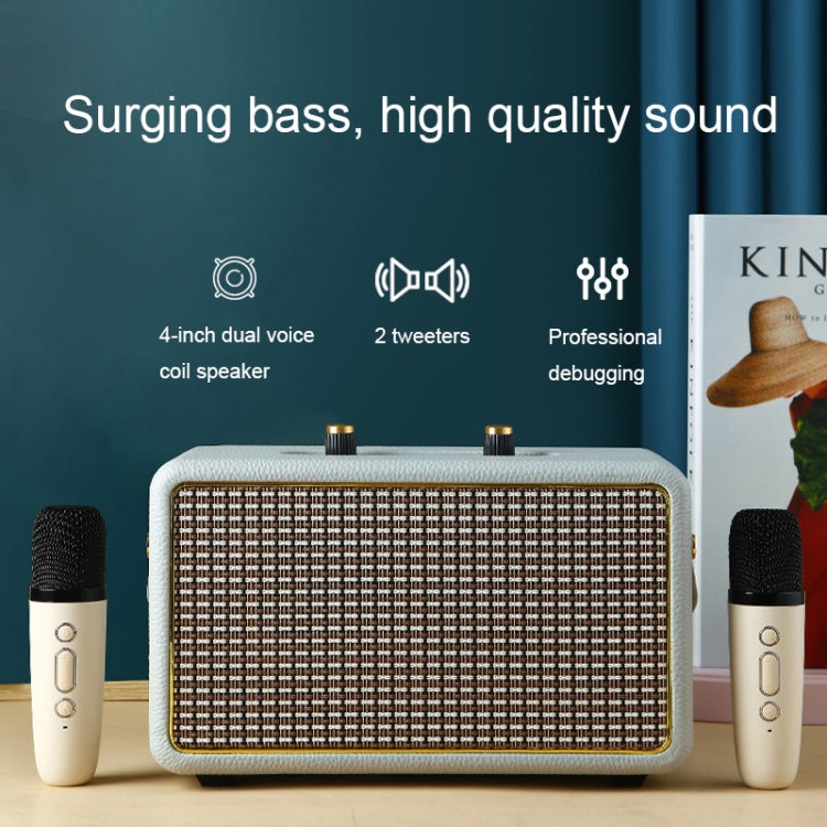 Leather Texture Portable Wooden Home Karaoke Bluetooth Speaker, Gray+Dual-microphone, Gray