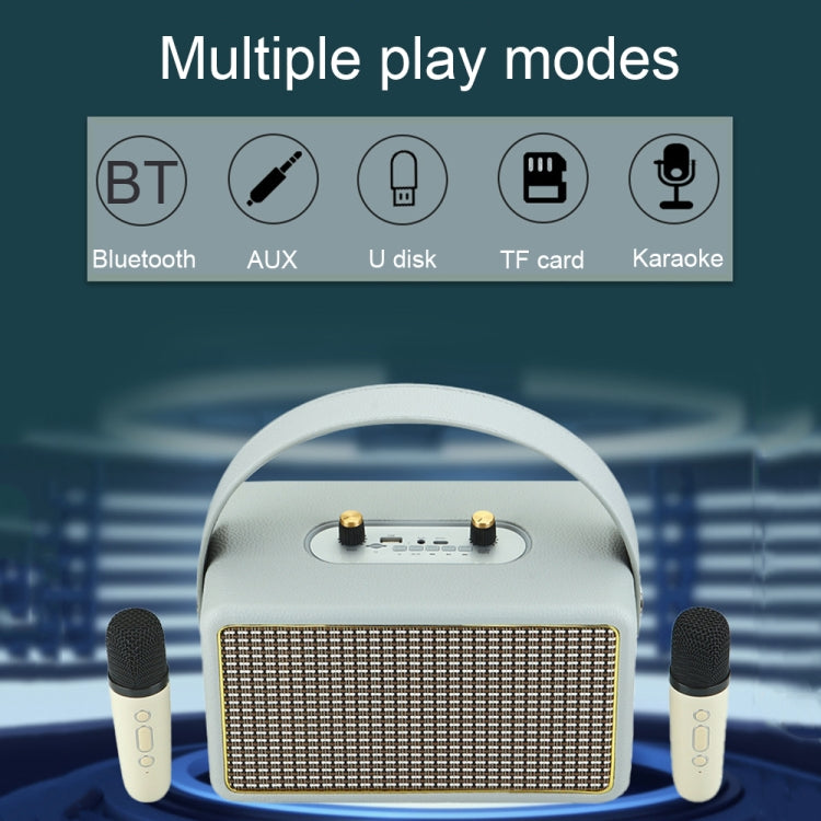 Leather Texture Portable Wooden Home Karaoke Bluetooth Speaker, Gray+Dual-microphone, Gray