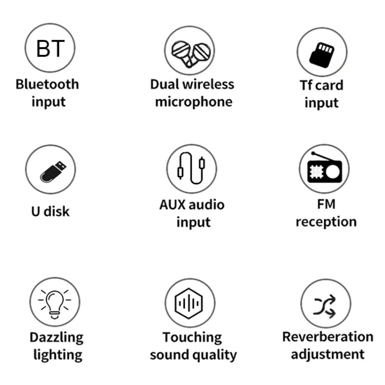 Leather Colorful Light Effect Karaoke Audio Retro Outdoor Bluetooth Speaker, Dual-microphone, Single Speaker