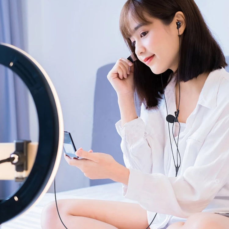 In-ear Wired Earphone Computer Subwoofer Singing Game Monitor Earphone, 3.5mm Black, Type-C Black