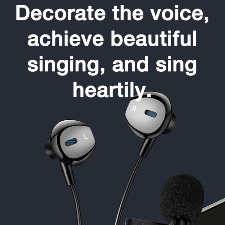 In-ear Wired Earphone Computer Subwoofer Singing Game Monitor Earphone, 3.5mm Black, Type-C Black