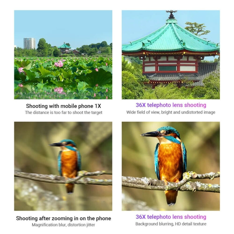 APEXEL HD Metal 36X Zoom Telescope Telephoto Lens With Extendable Tripod, 36X