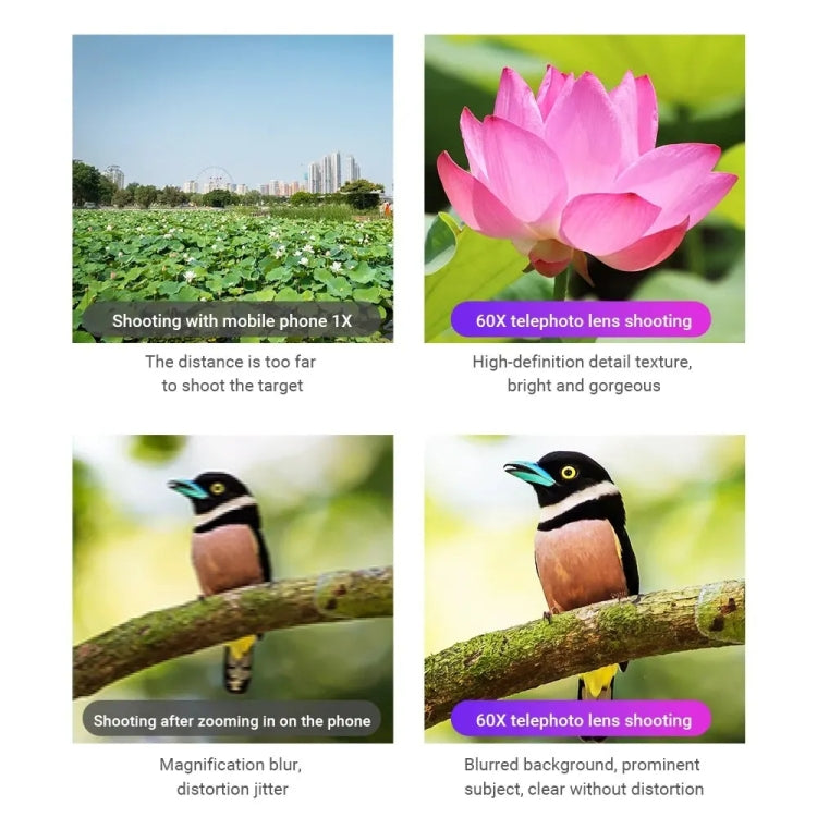 APEXEL 60X Smartphone Telescope Lens With Extendable Tripod Set, 60X