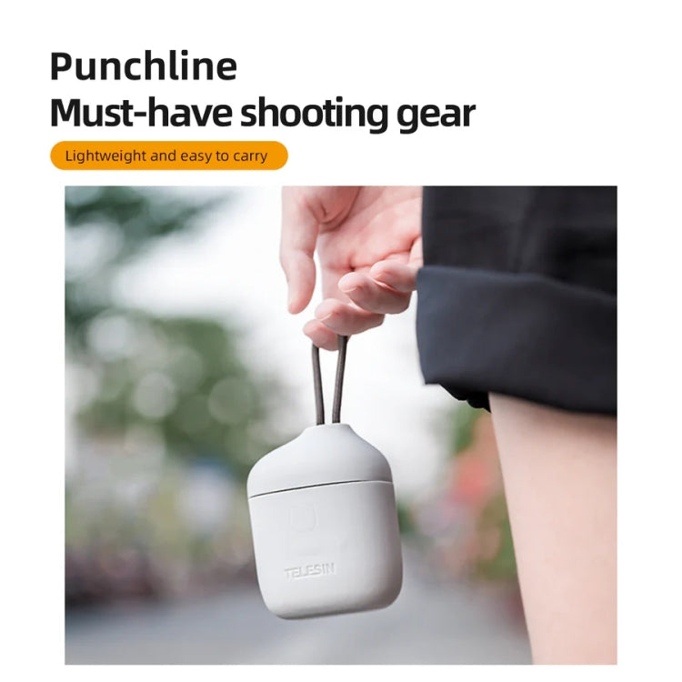 TELESIN GP-BTR-904-GY Storage Battery Charging Box For GoPro HERO12 Black / HERO11 Black / HERO10 Black / HERO9 Black, GP-BTR-904-GY